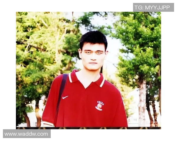 姚明萌娃的成长之路:从篮球场到童年梦想的绚丽旅程